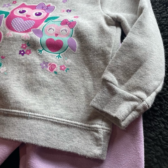 Baby Girls Gray Sweatshirt with Owls w/ purple sweatpants | 6-9 months - Picture 3 of 7